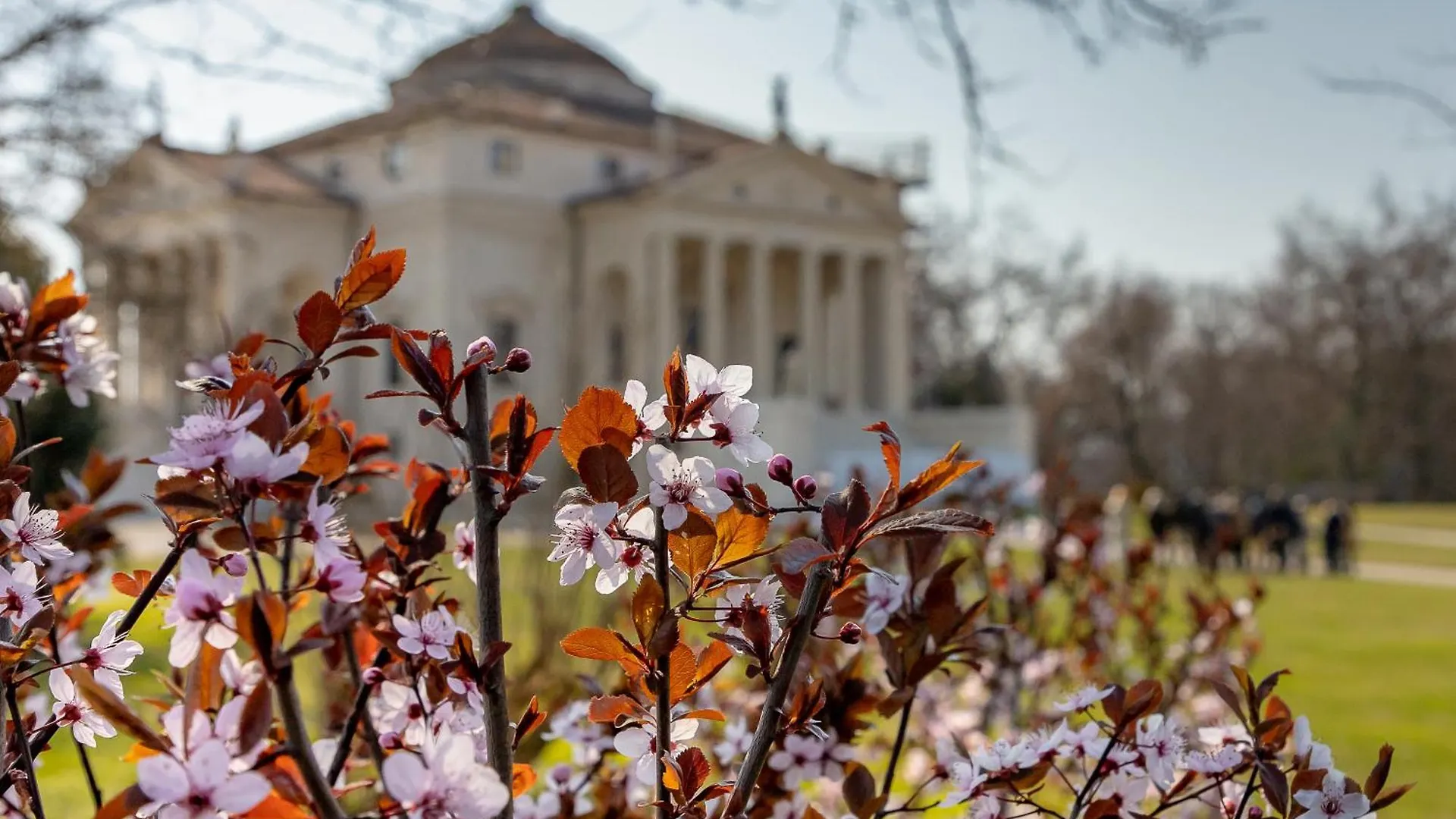 Appartamentopalladio140 فيتشنزا إيطاليا